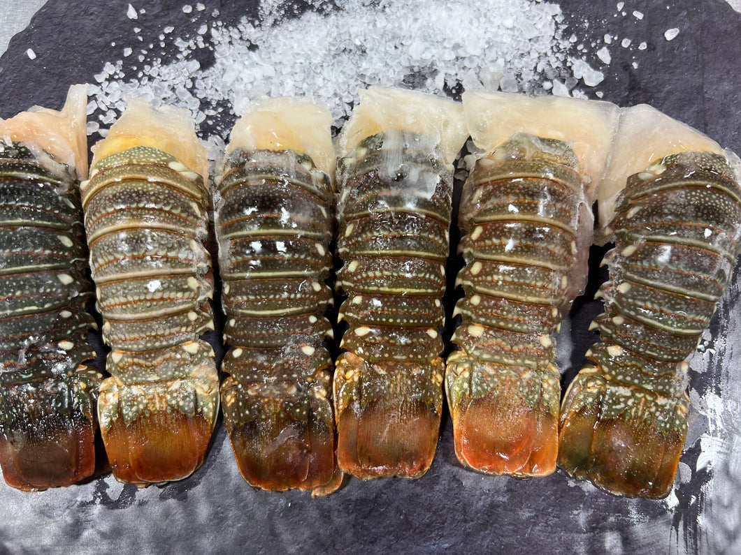 ••Lobster tails 3 oz 6 tails