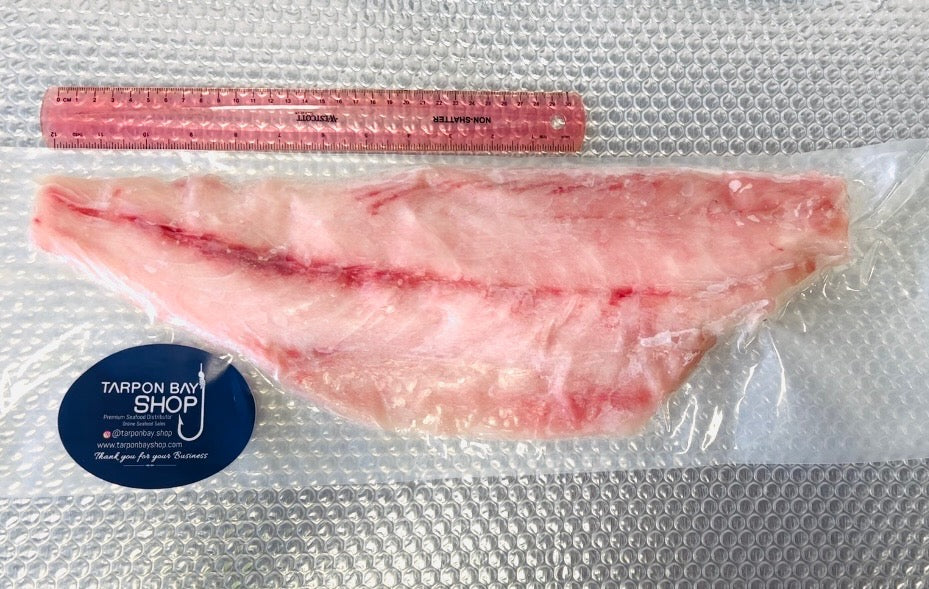 •Corvina WILD CAUGHT SKIN OFF