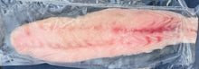 Load image into Gallery viewer, •Corvina WILD CAUGHT SKIN OFF SOLD BY THE POUND
